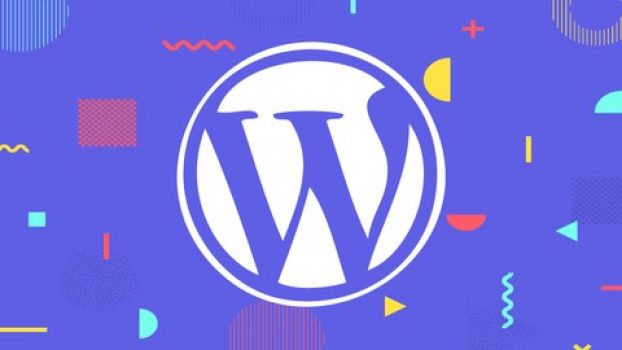 Complete WordPress Developer Course – Plugins & Themes – Relearn – demo ...